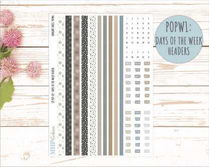 JANUARY 2026 Stickers for The Jo, Laurel Denise Planner (Formerly Pop-Up Planner) "January Frost" || POP