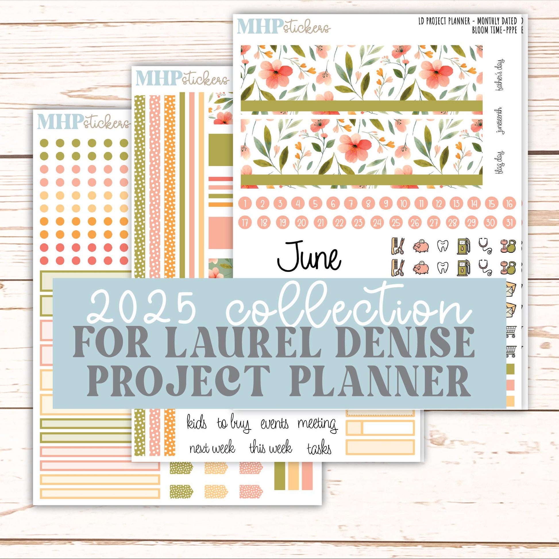 JUNE Stickers for the large Laurel Denise Rose Planner (Formerly Project Planner) "Bloom Time" || PPBT