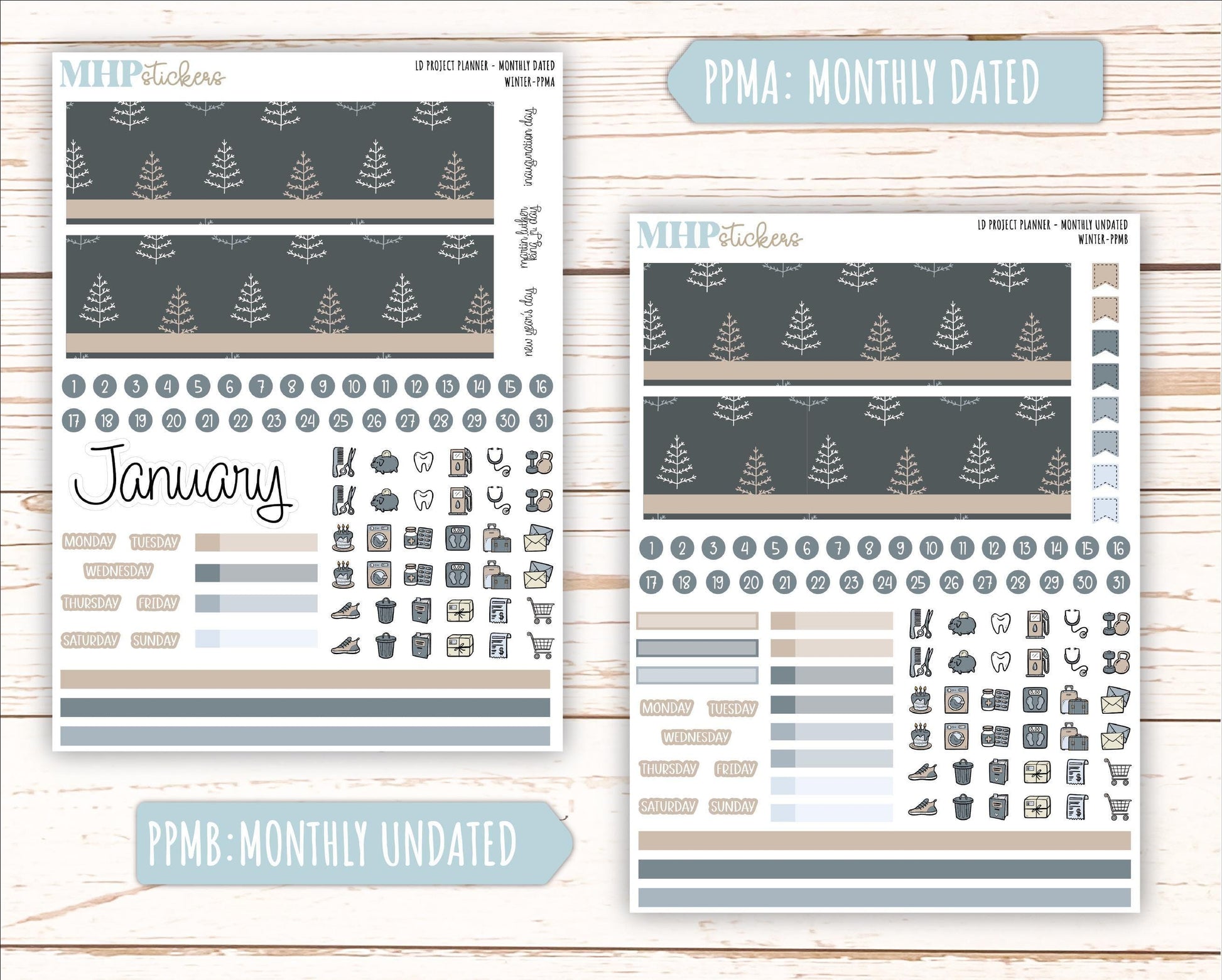 JANUARY Stickers for The Rose Large Laurel Denise Planner (Formerly Project Planner) "Winter" || PP-W