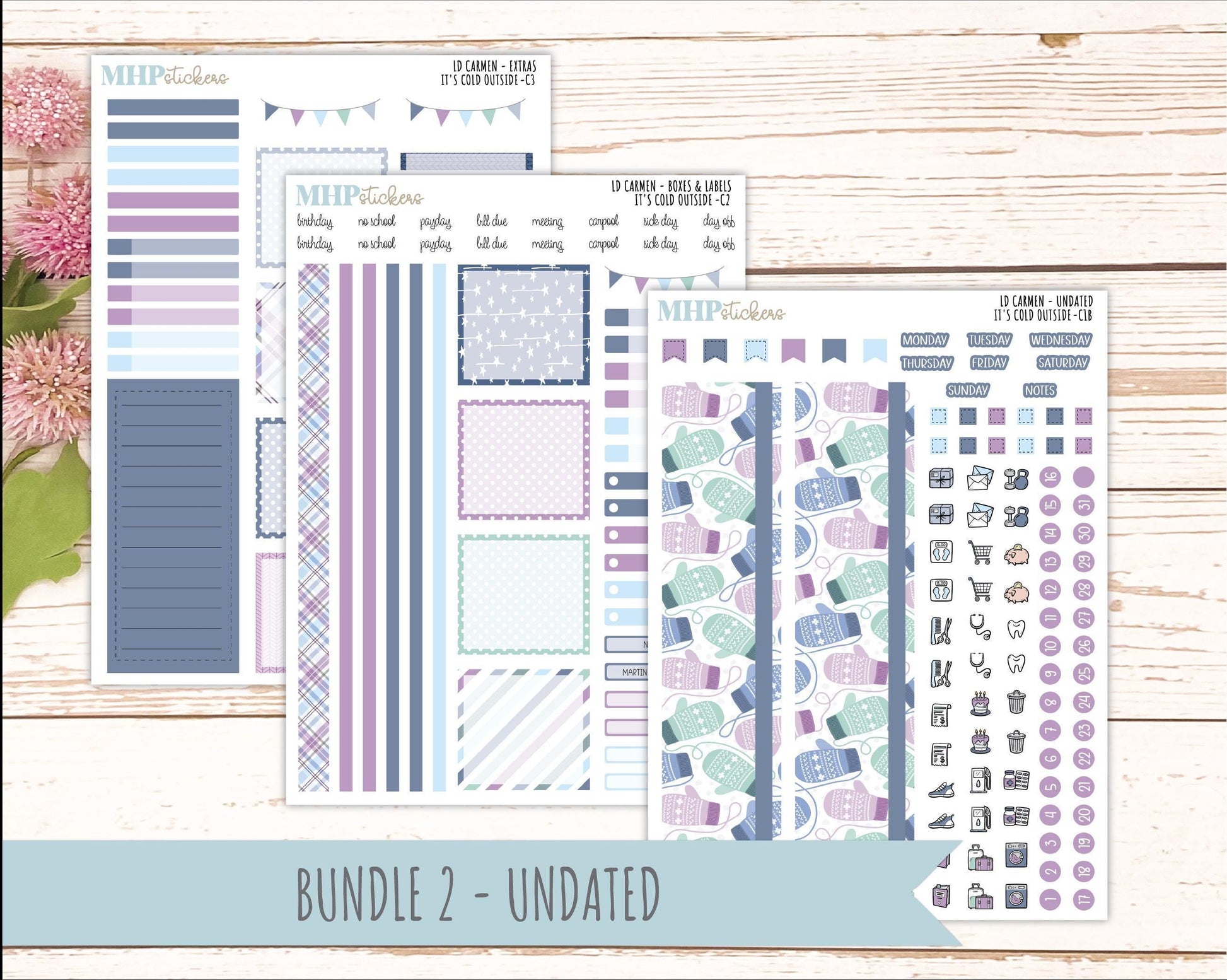 JANUARY 2026 Stickers for The Carmen Laurel Denise Planner (Simply Month Planner). "It's Cold Outside" || C