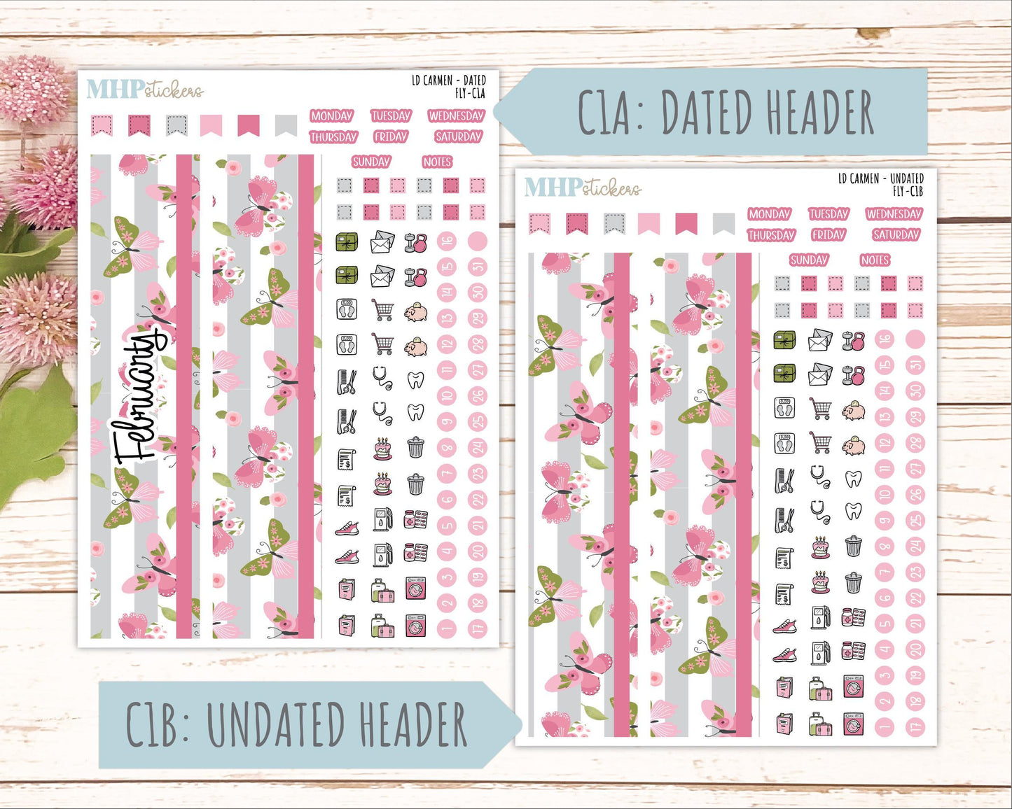 FEBRUARY 2026 Stickers for The Carmen Laurel Denise Planner (Simply Month Planner). "Fly" || C