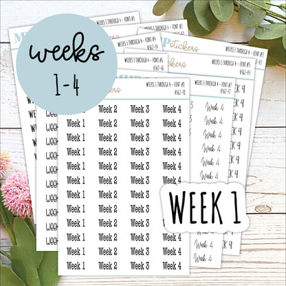 Script WEEKS 1-4 Sticker || H462