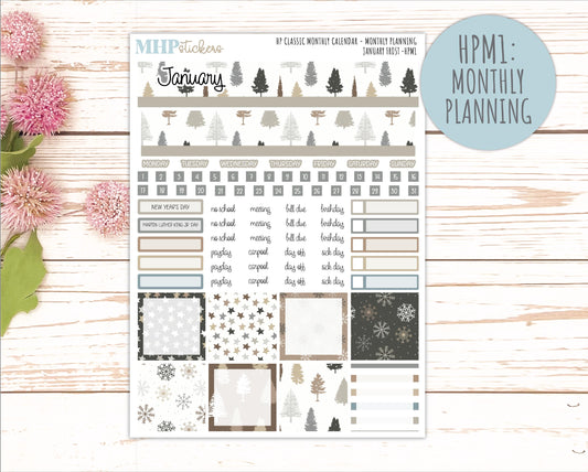 JANUARY Stickers for Happy Planner Classic Vertical Layout. 2026 Collection. "January Frost" || HPV