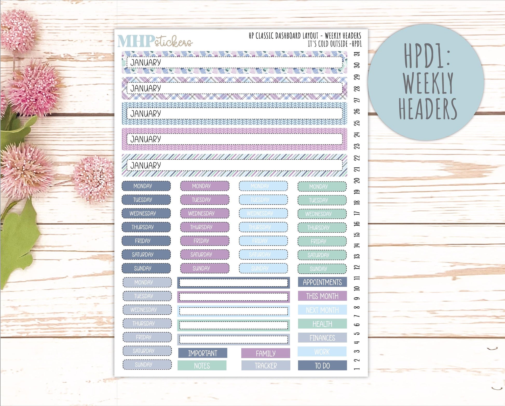 JANUARY Stickers for Happy Planner Classic Dashboard Layout. 2026 Collection. "It's Cold Outside" || HPDS
