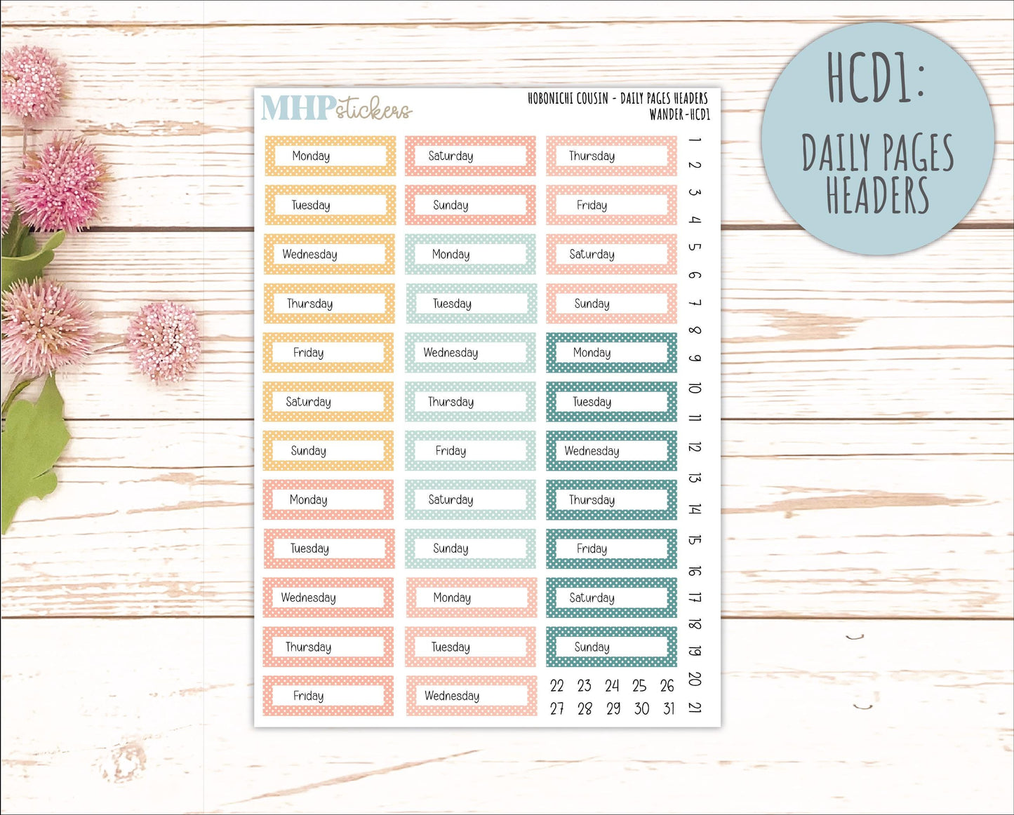 JUNE 2026 Stickers for Hobonichi Cousin. A5 Planners "Wander" || HC