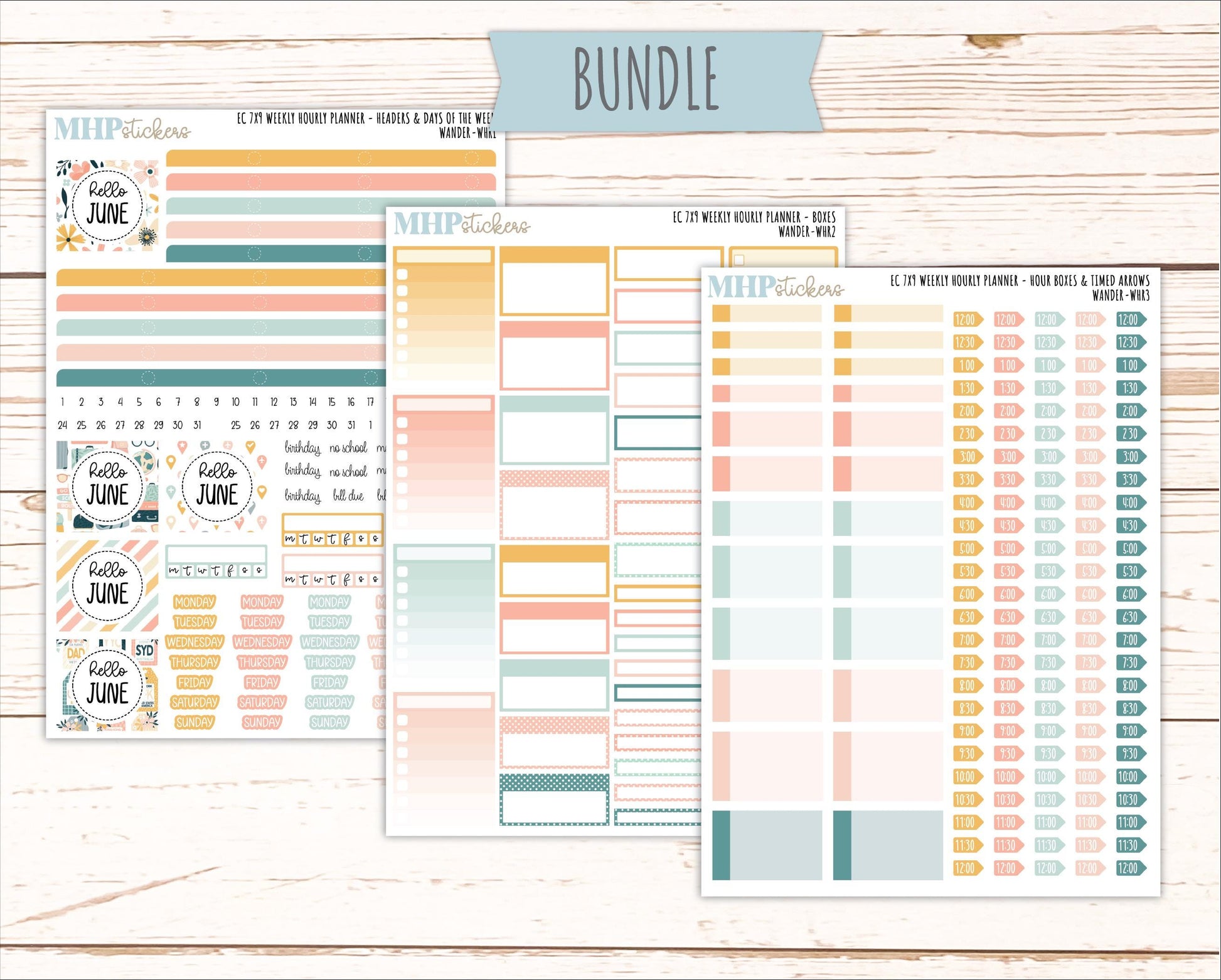 JUNE Weekly Hourly Planning Kits for 7x9 Erin Condren Planners. 2026 Collection "Wander" || ECWHR