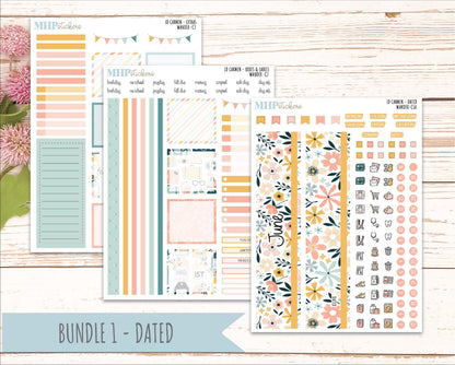 JUNE 2026 Stickers for The Carmen Laurel Denise Planner "Wander" || C