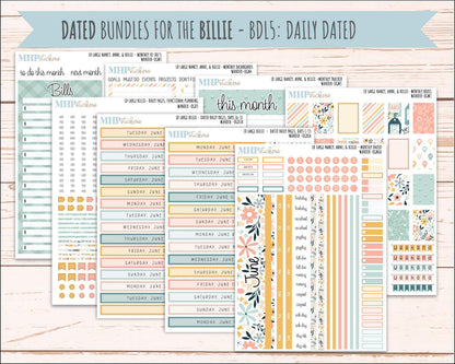 JUNE 2026 Stickers for Large Nancy, Anne, & Billie Planners. Laurel Denise Planners. "Wander" || OG
