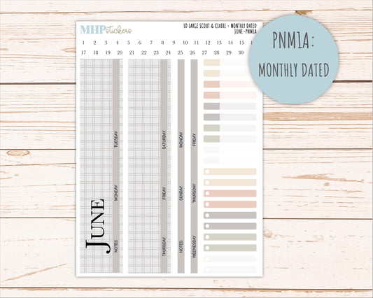 JUNE Neutral Color Stickers for the Large Scout & Claire Laurel Denise Planners || PTN26