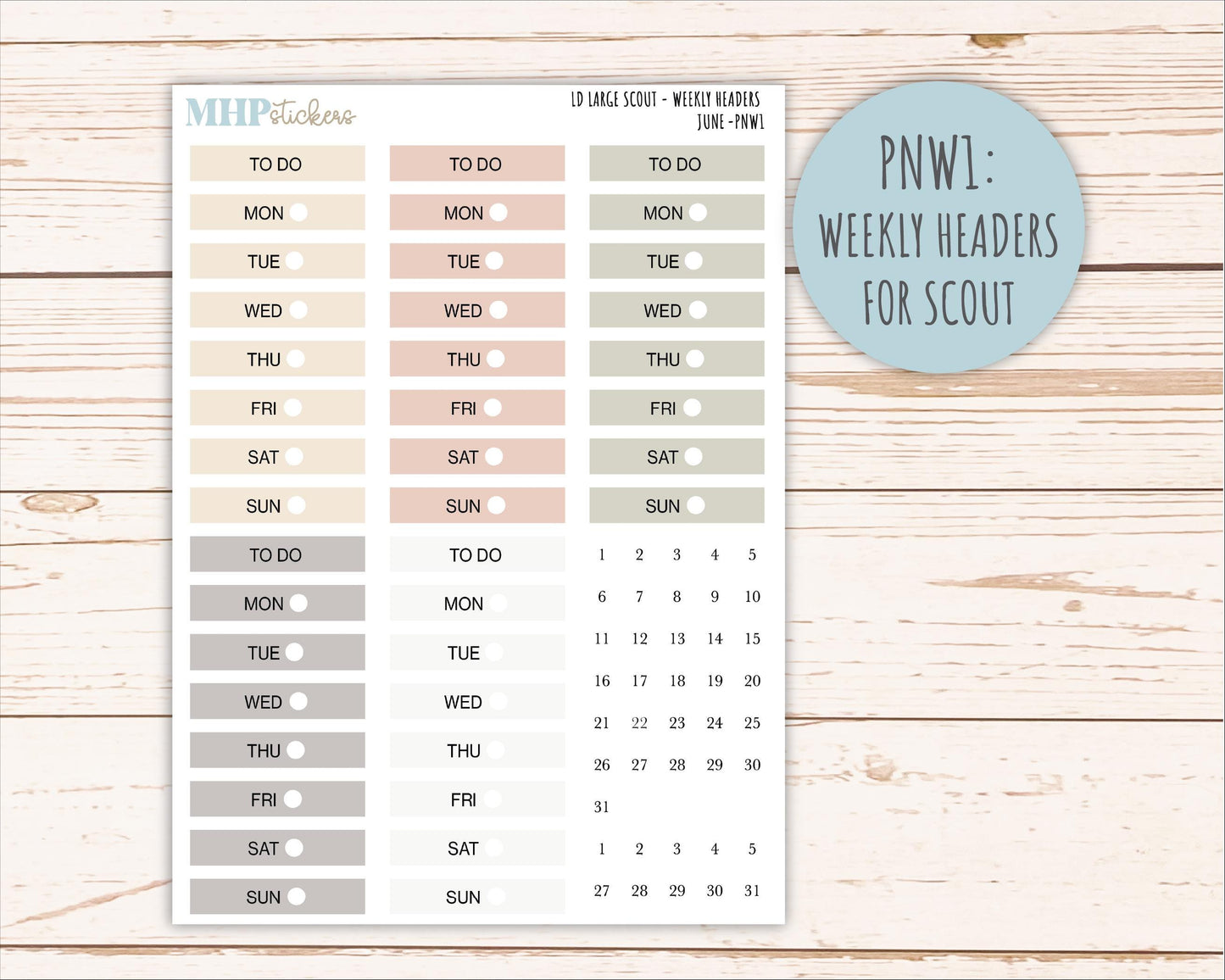 JUNE Neutral Color Stickers for the Large Scout & Claire Laurel Denise Planners || PTN26
