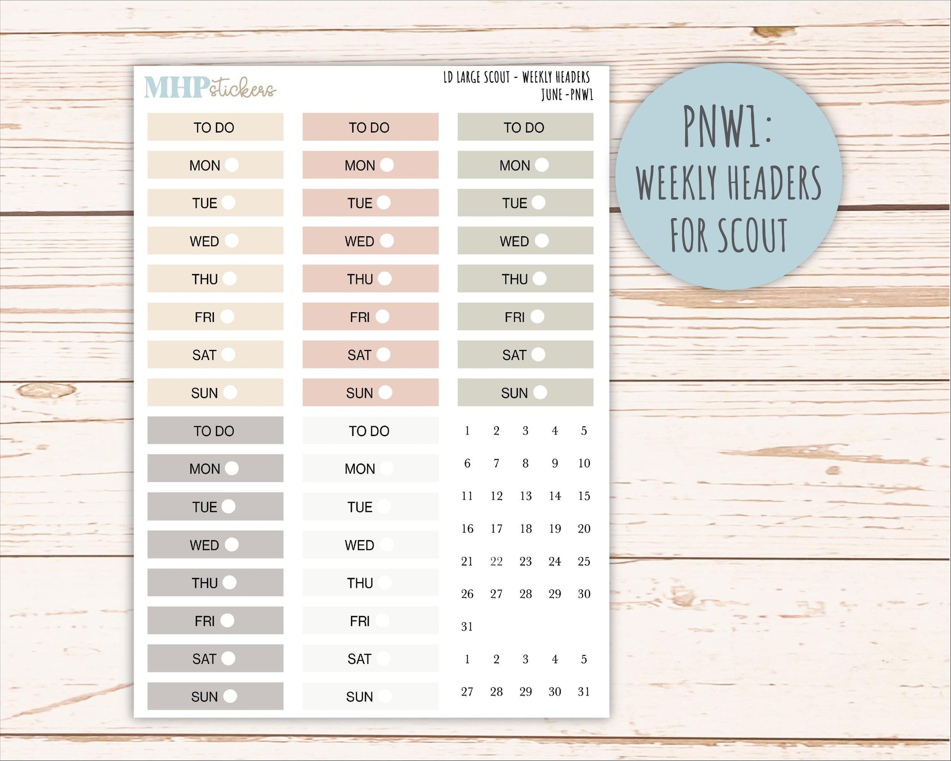 JUNE Neutral Color Stickers for the Large Scout & Claire Laurel Denise Planners || PTN26