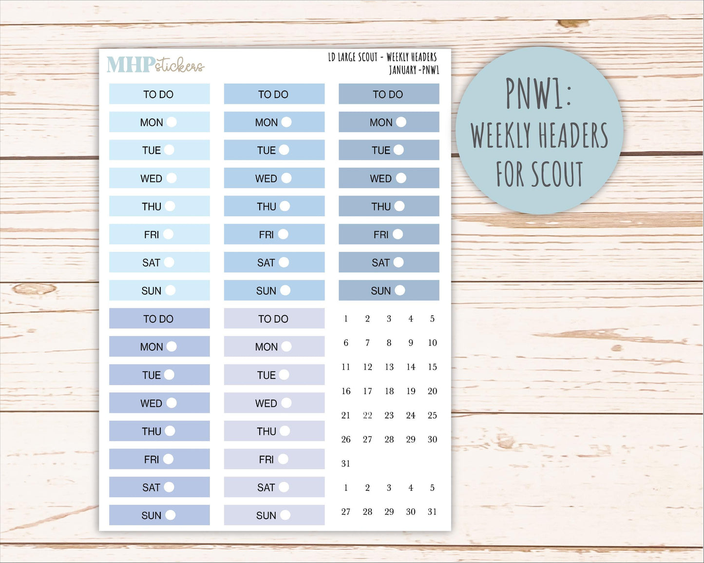 JANUARY Neutral Color Stickers for the Large Scout & Claire Laurel Denise Planners || PTN26