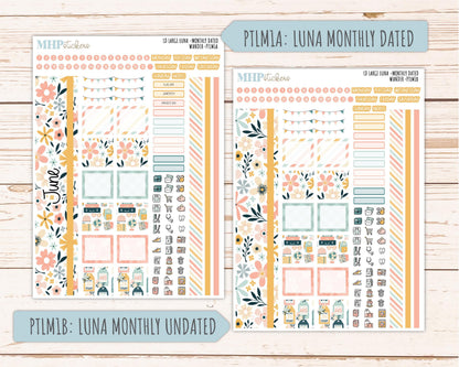 JUNE 2026 Stickers for the Large Scout & Large Claire Laurel Denise Planners "Wander" || PT