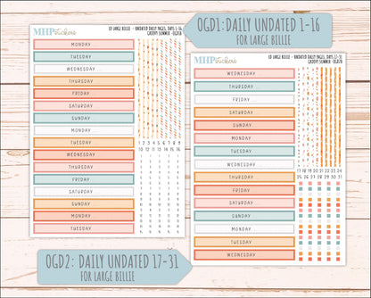AUGUST 2026 Stickers for Large Nancy, Anne, & Billie Planners. Laurel Denise Planners "Groovy Summer" || OG