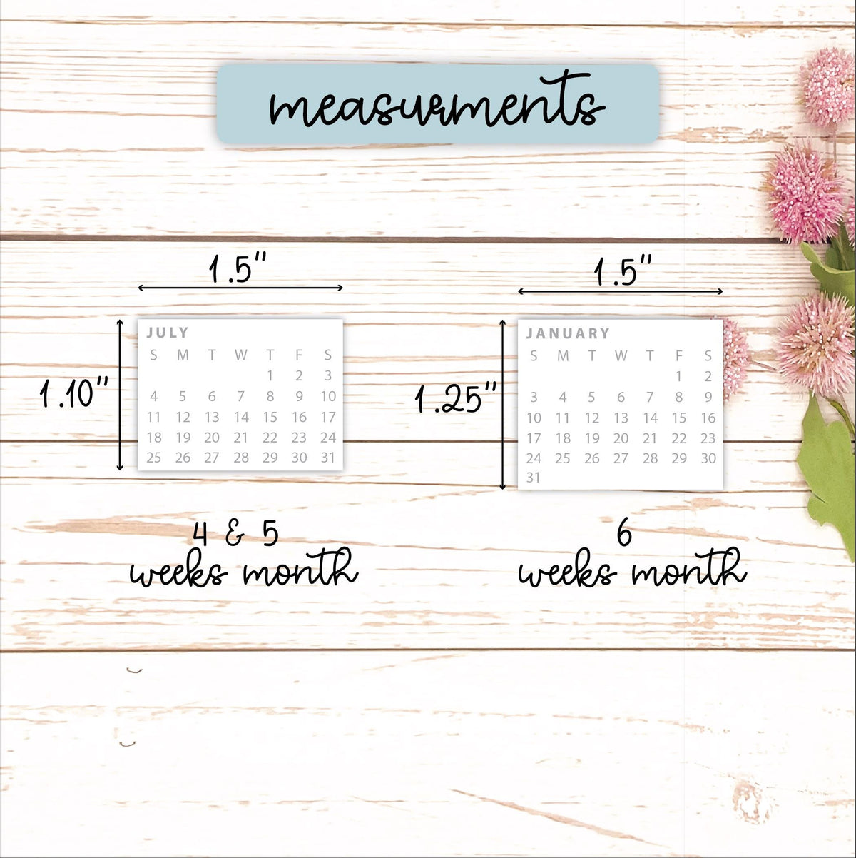 2027 Calendar Stickers for Large Laurel Denise Planners || H609