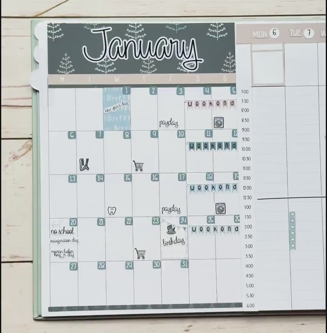 FEBRUARY 20265 Stickers for Small Nancy & Anne Laurel Denise Planners. (Formerly Mini Planner)  "Fly"  || MN