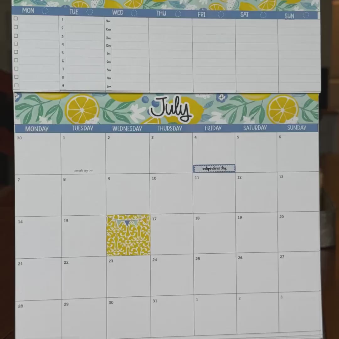 June 2025 Stickers for Laurel Denise POP-UP Planner. "Floral Confetti"  || POPFC