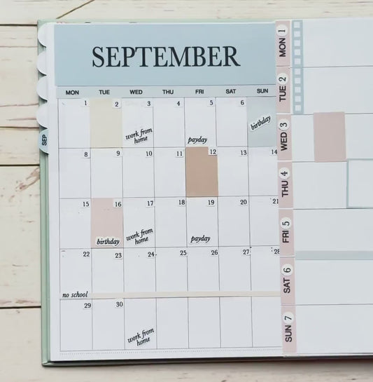 JUNE 2026 Neutral Collection Stickers for Small Nancy & Anne. Laurel Denise Planners || MN