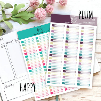 Appointment Labels, Planner Sticker for  Bullet Journals, College Planner, Teacher Planner, Homeshcool Planner || F708
