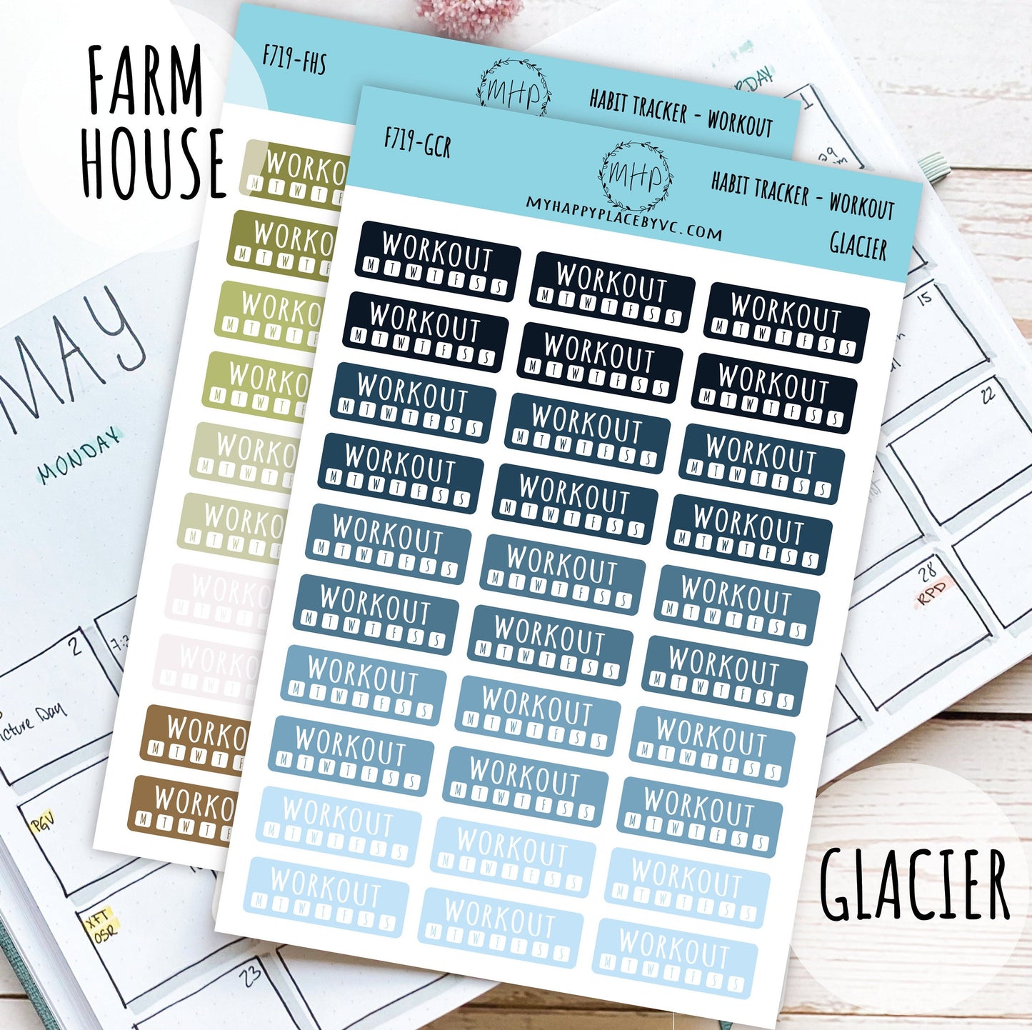 Habit Tracker Workout Planner Stickers for Bullet Journals, College Planner, Teacher, Homeschool Planner and School Planners || F719