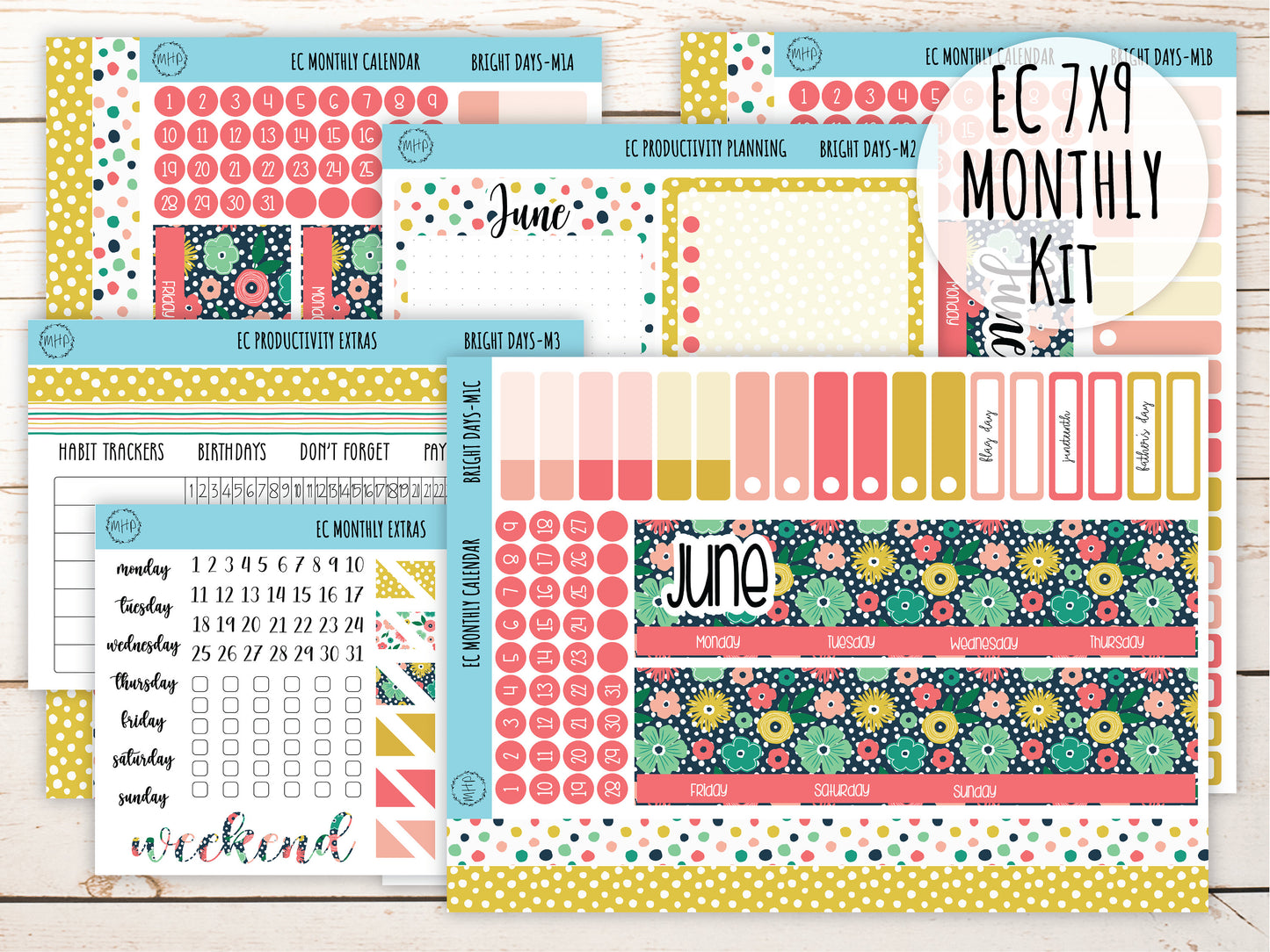 Erin Condren 7x9 Monthly Kit. JUNE "Bright Days" Planner Stickers || BD-M