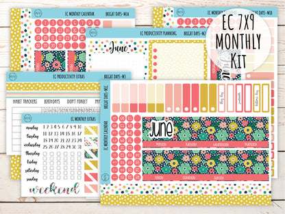 Erin Condren 7x9 Monthly Kit. JUNE "Bright Days" Planner Stickers || BD-M