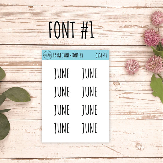 Large JUNE Stickers for Planners, Organizers, Bullet Journals. Perfect for EC and Classic HP. 12 Fonts to Choose From || Q131