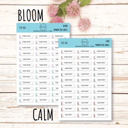 Payment Due Labels. Planner Stickers.Organization and Budgeting Stickers || F787