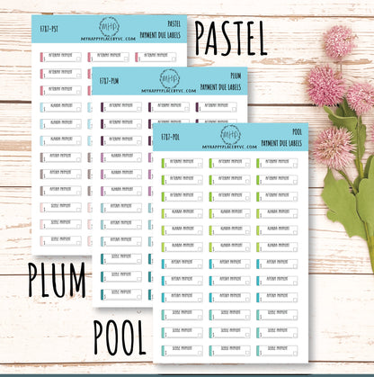 Payment Due Labels. Planner Stickers.Organization and Budgeting Stickers || F787