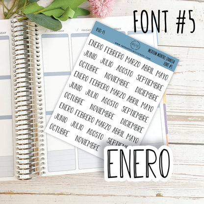 Medium Month Stickers in SPANISH for Bullet Journals and Planners. Available in Black, Gold, Silver & Rose Gold. Foiled Stickers || H581