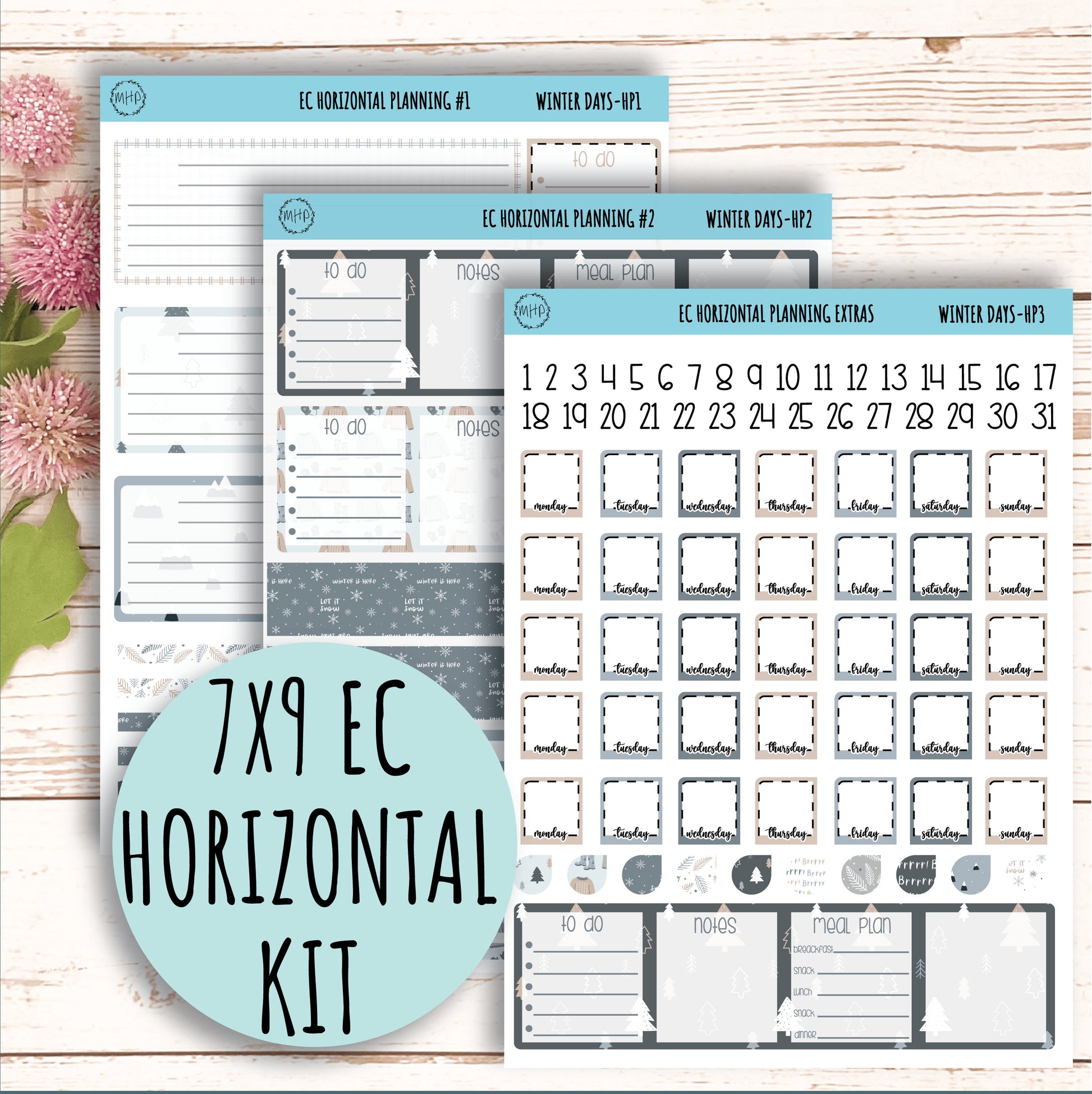 Erin Condren 7x9 Horizontal Planning Stickers. Planner Stickers. JANUARY  Winter Days || WD-HP