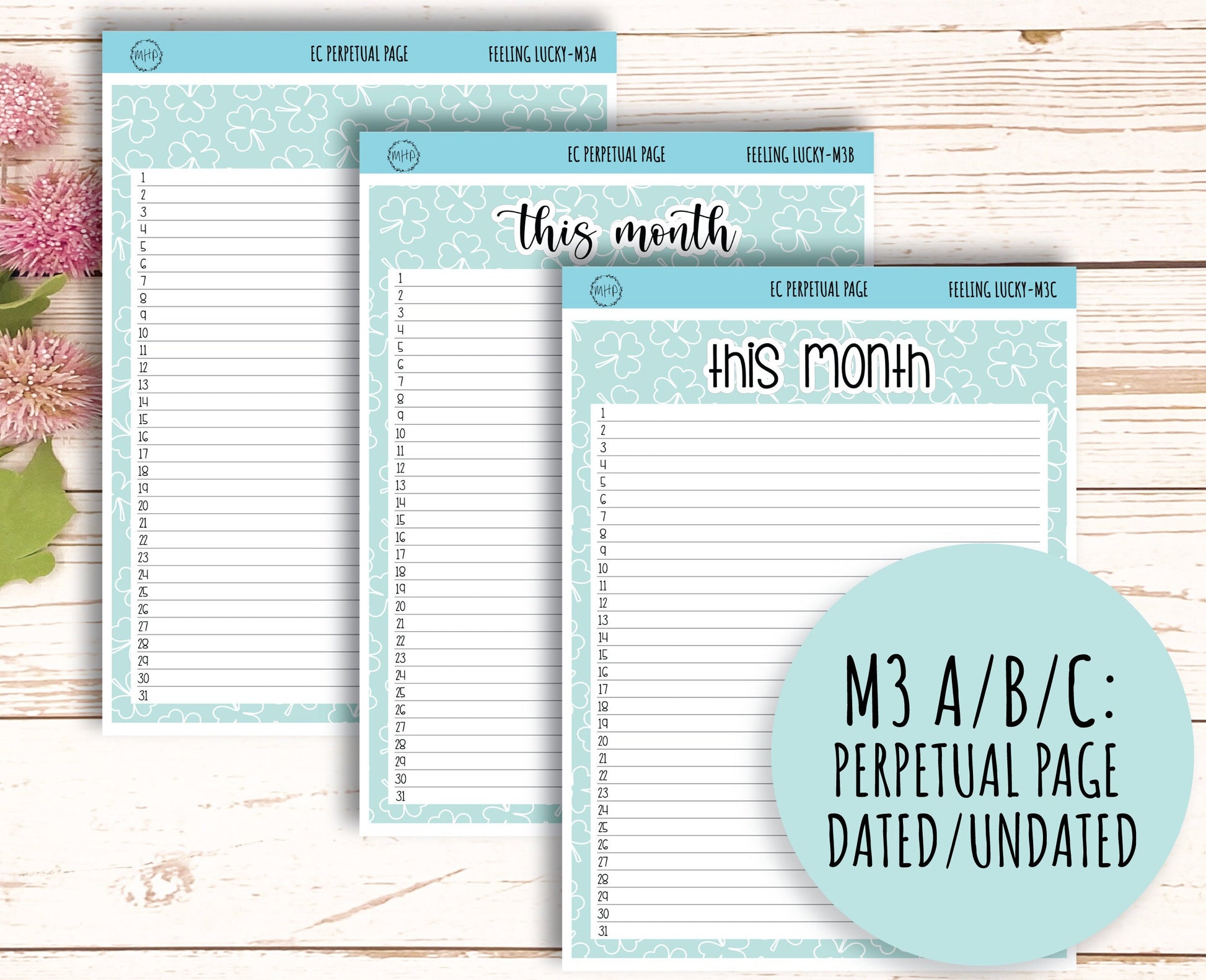 MARCH Monthly Kit Stickers for 7x9 Planners. "Feeling Lucky || FL-M