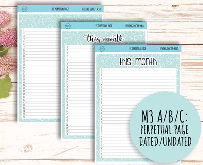 MARCH Monthly Kit Stickers for 7x9 Planners. "Feeling Lucky || FL-M